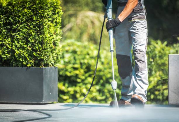 Best Paint Preparation  in Halesite, NY
